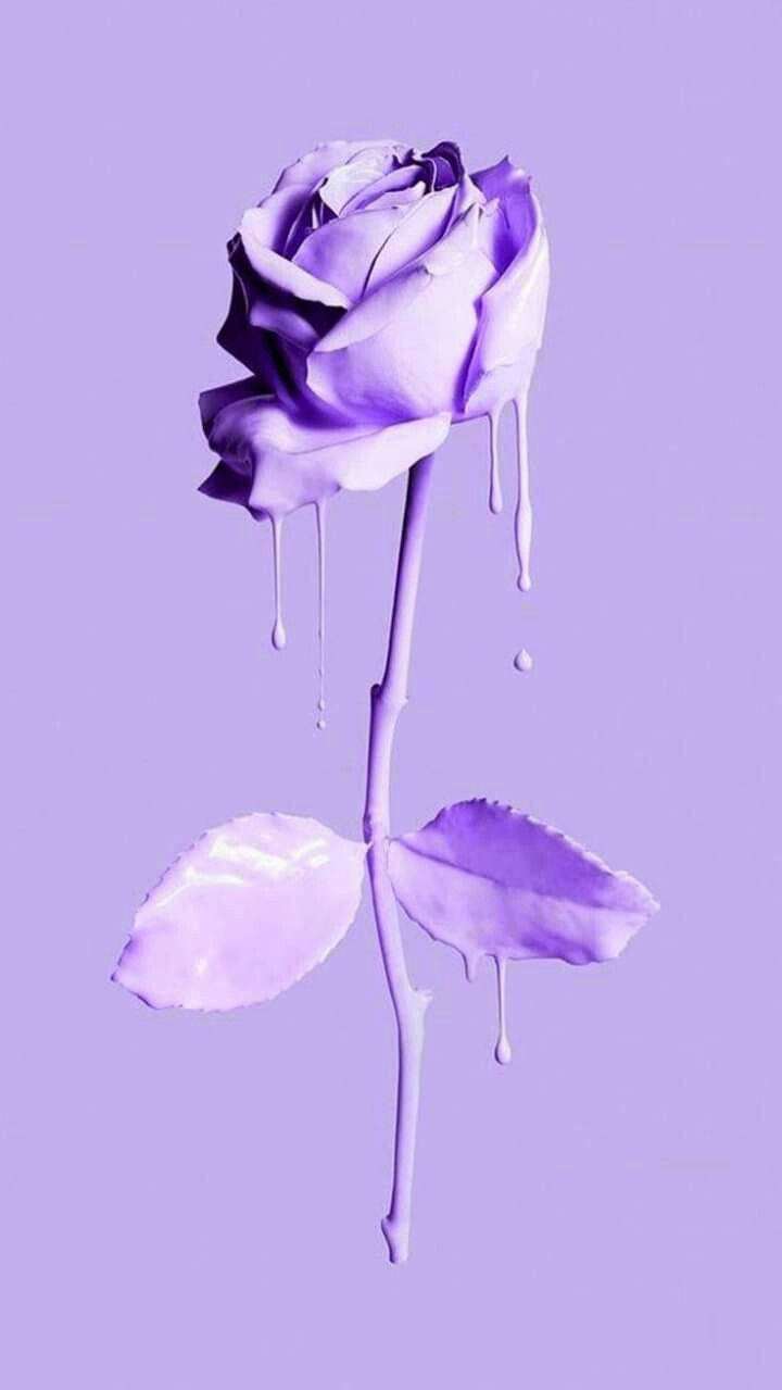 Minimalist Purple Rose Drip Art