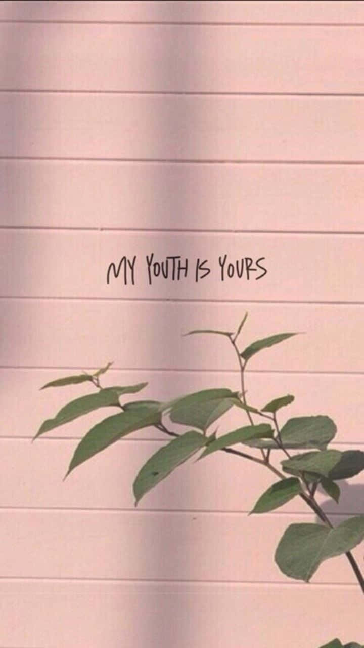 Minimalist Quotes In Pink Aesthetic Iphone Background