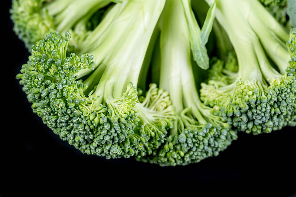 Minimalist Reversed Broccoli Background