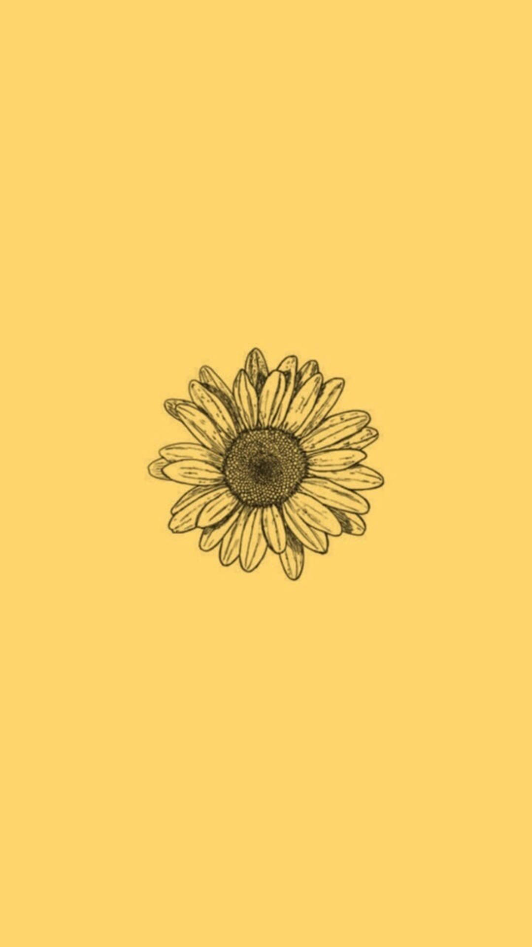 Minimalist Sunflower Art Iphone Background