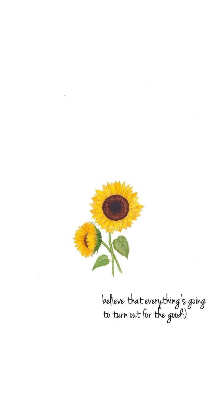 Minimalist Sunflower Quotes Background
