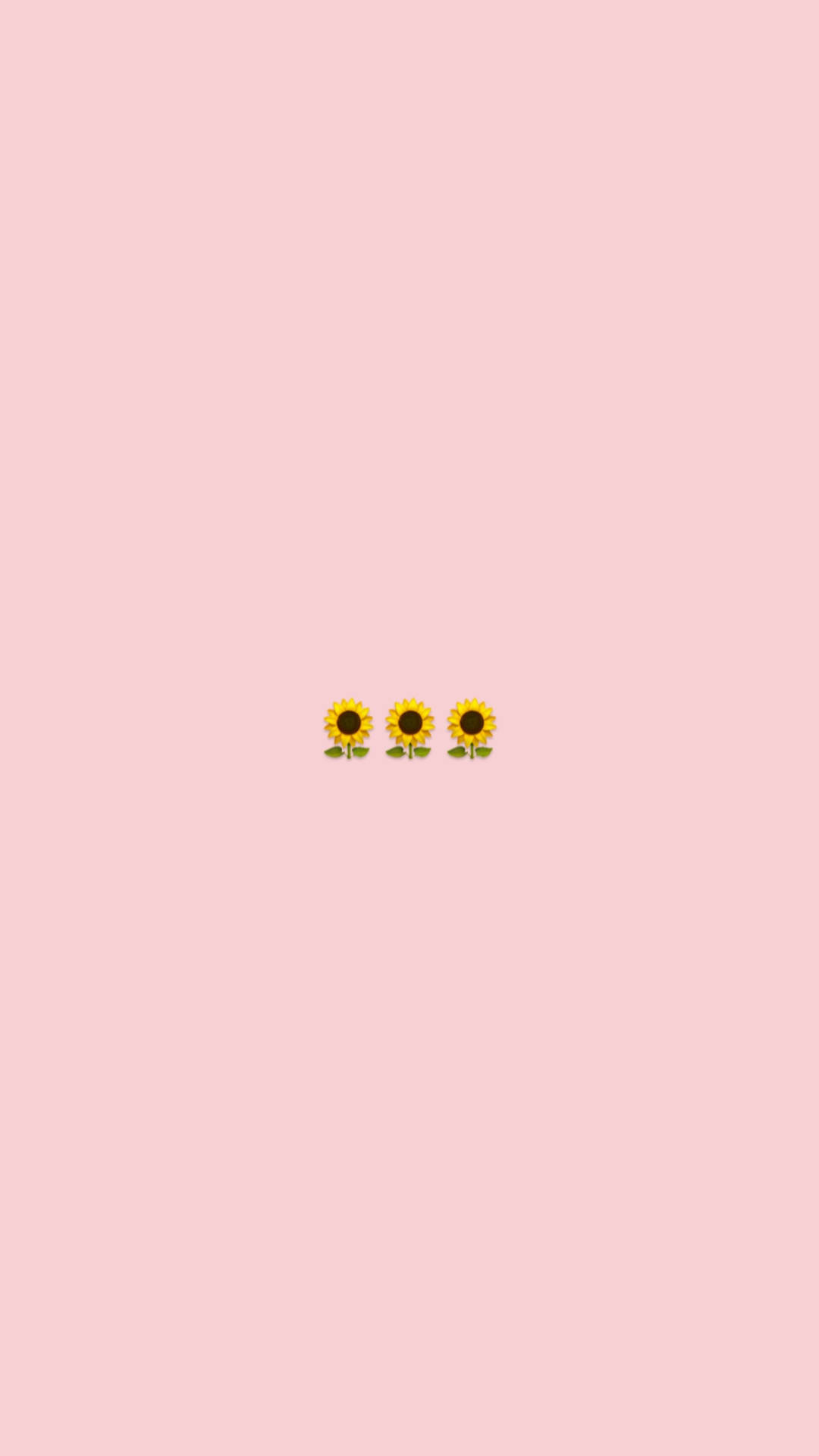 Minimalist Sunflower Tumblr Background