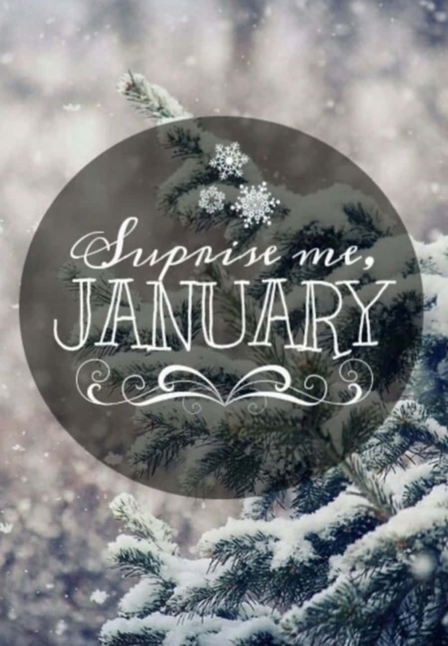 Minimalist Surprise Me January Phone Background