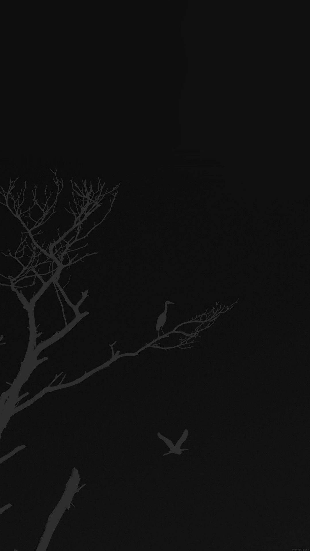 Minimalist Tree Graphic Beautiful Dark Background Background