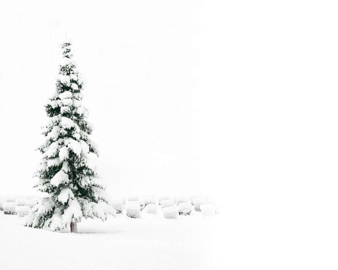 Minimalist Tree Snow White Christmas Background