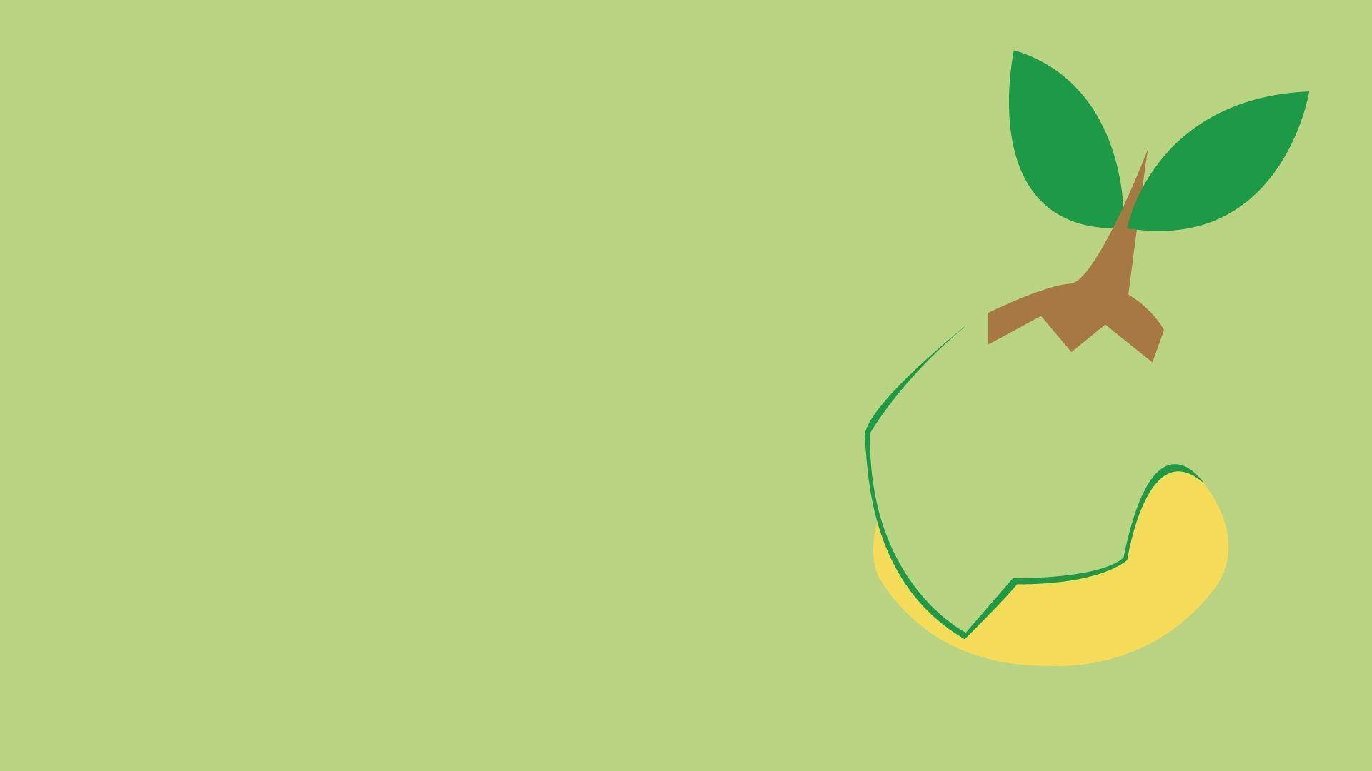 Minimalist Turtwig Face Background