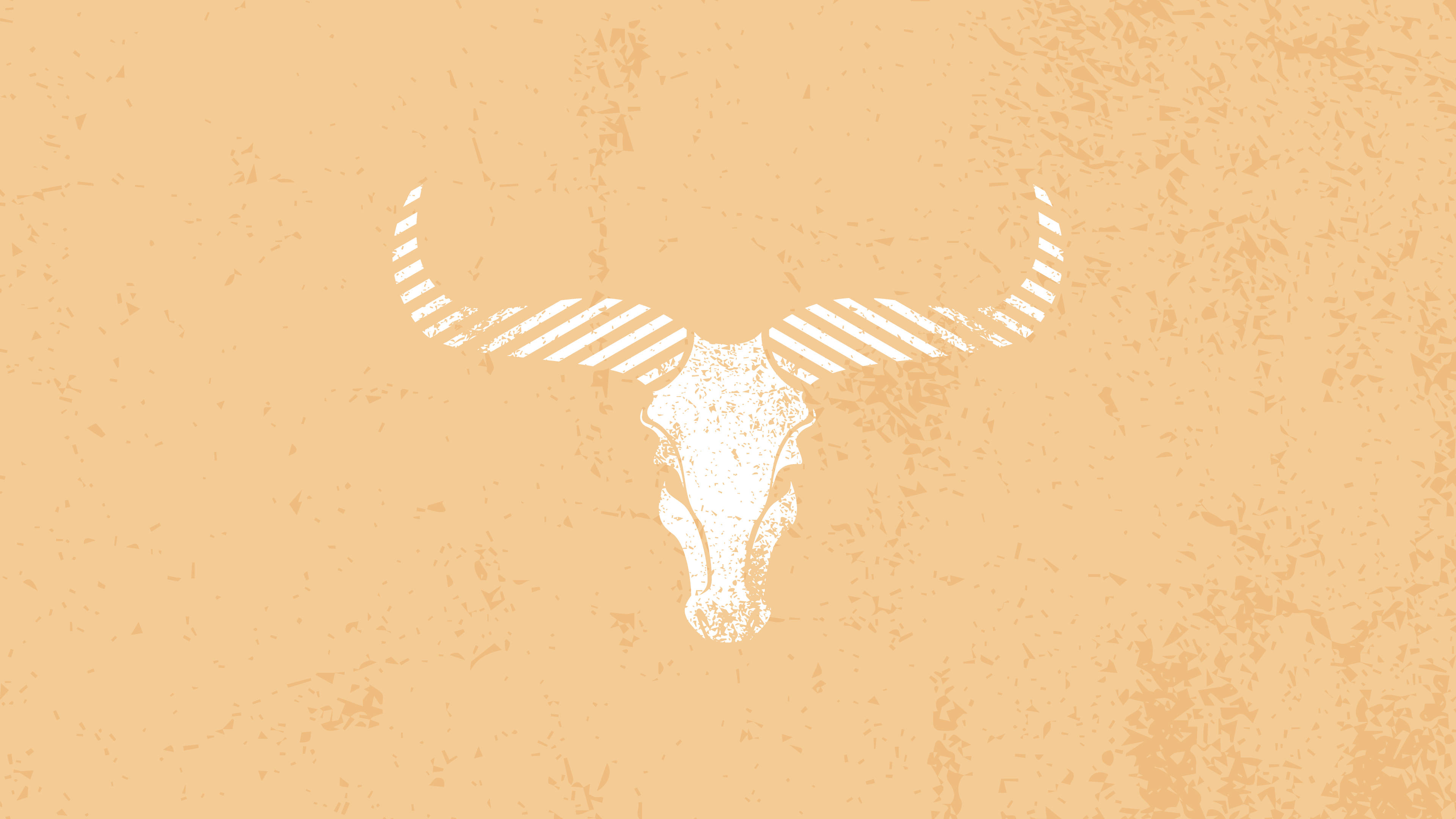 Minimalist Western Bull Aesthetic