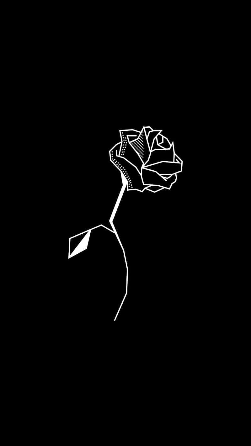 Minimalist White Roseon Black Background Background