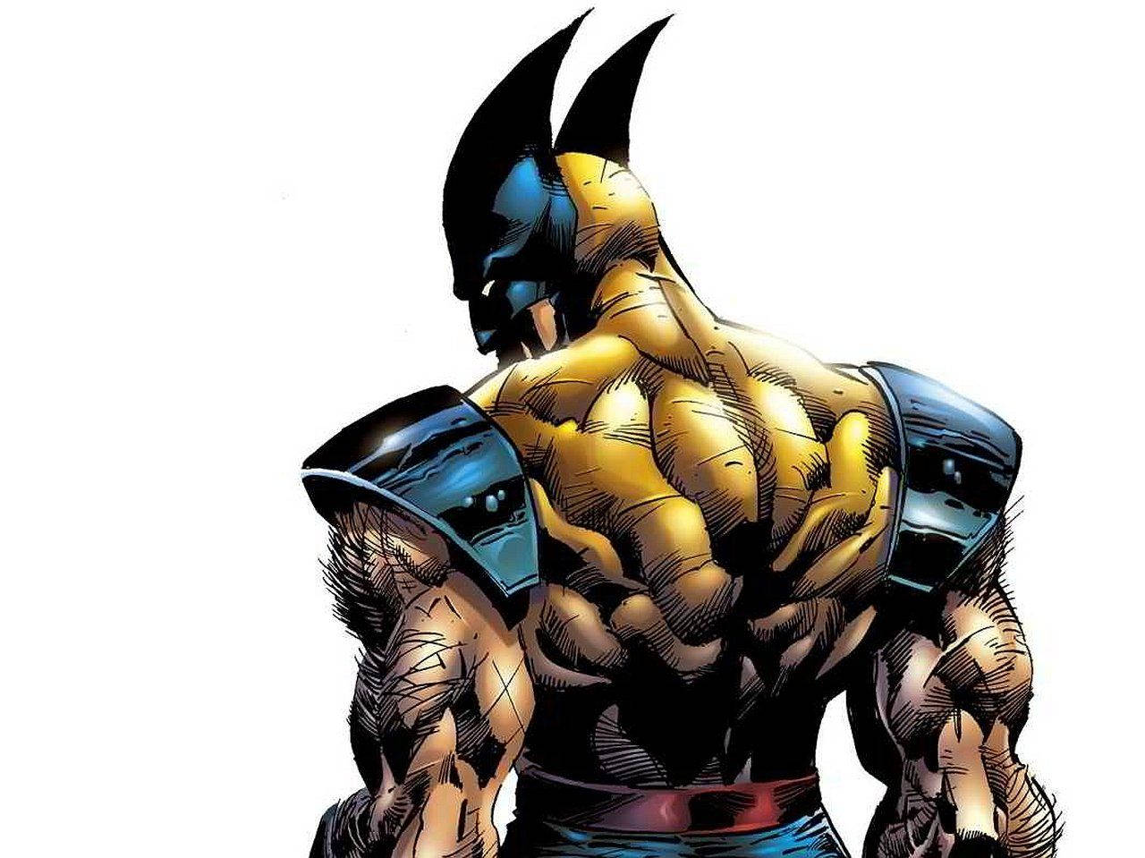 Minimalist Wolverine Cartoon Artwork Background