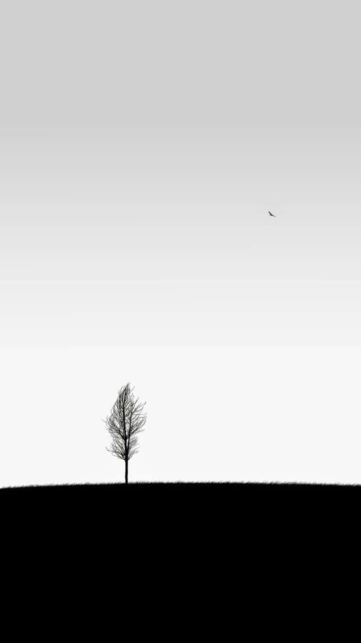 Minimalistic Black And White Pattern Background