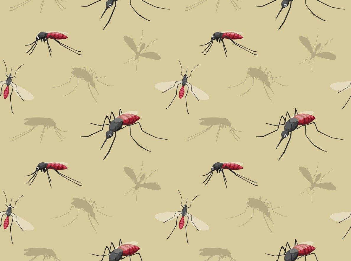 Minimalistic Cartoon Mosquito Wallpaper Background