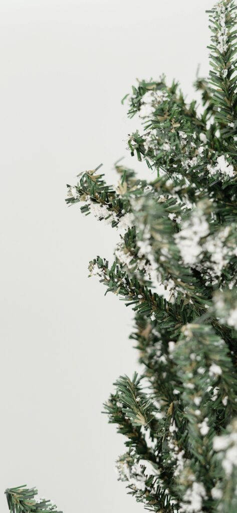 Minimalistic Christmas Pine Branches Background