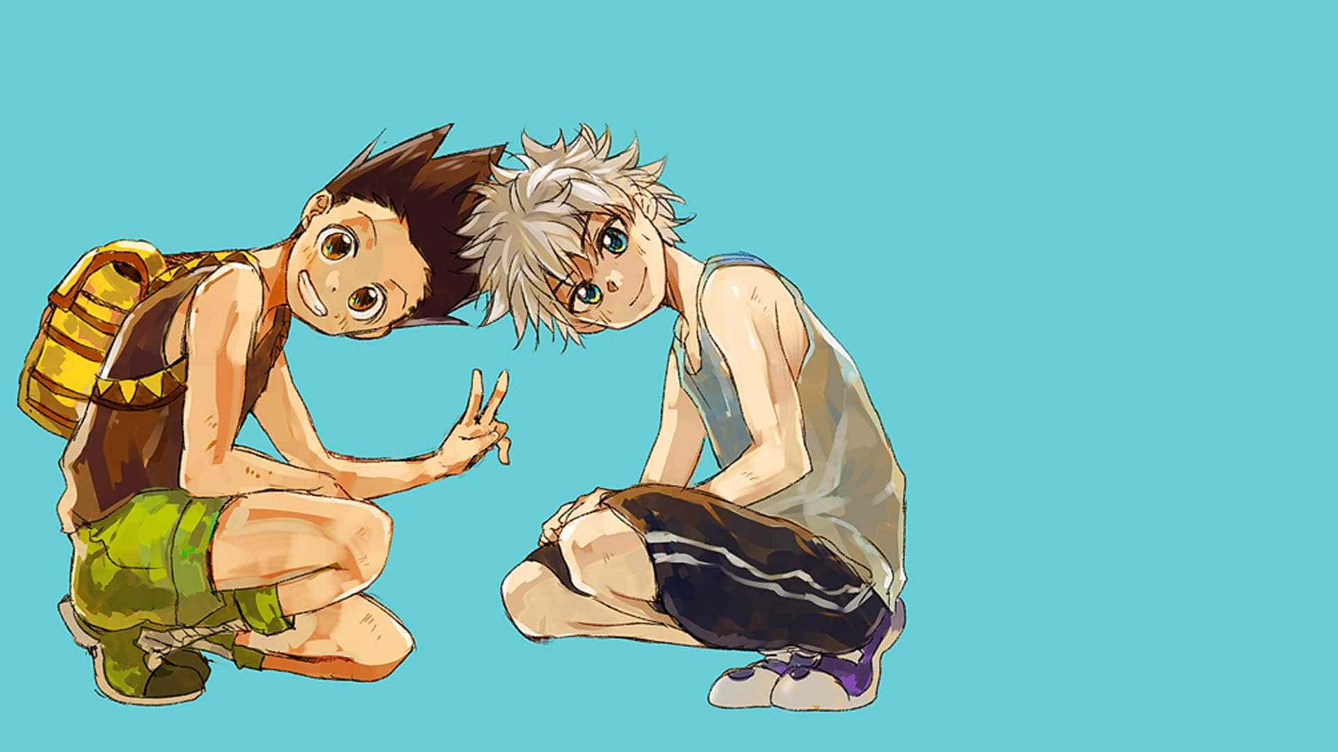 Minimalistic Hunter X Hunter Scene Background