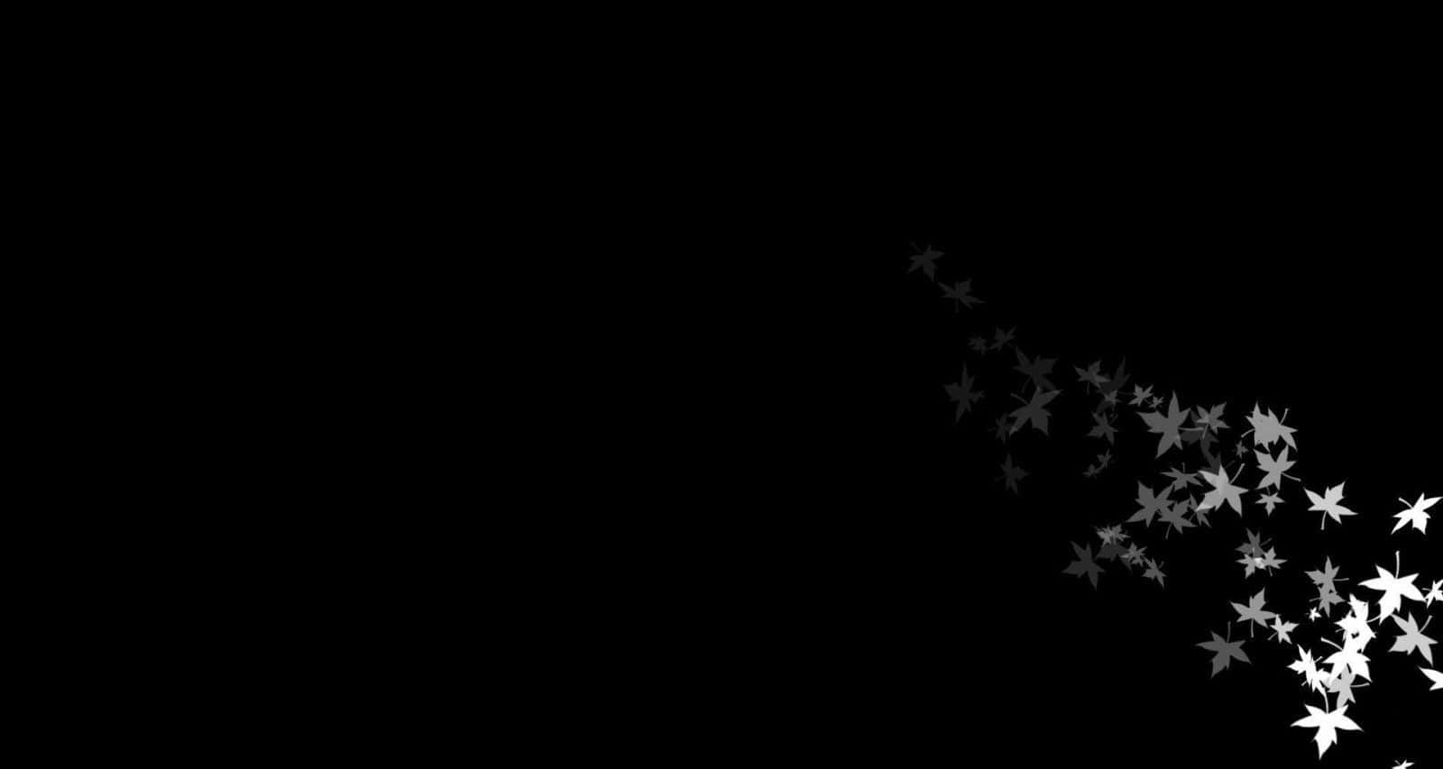 Minimalistic Plain Black Desktop Background Background