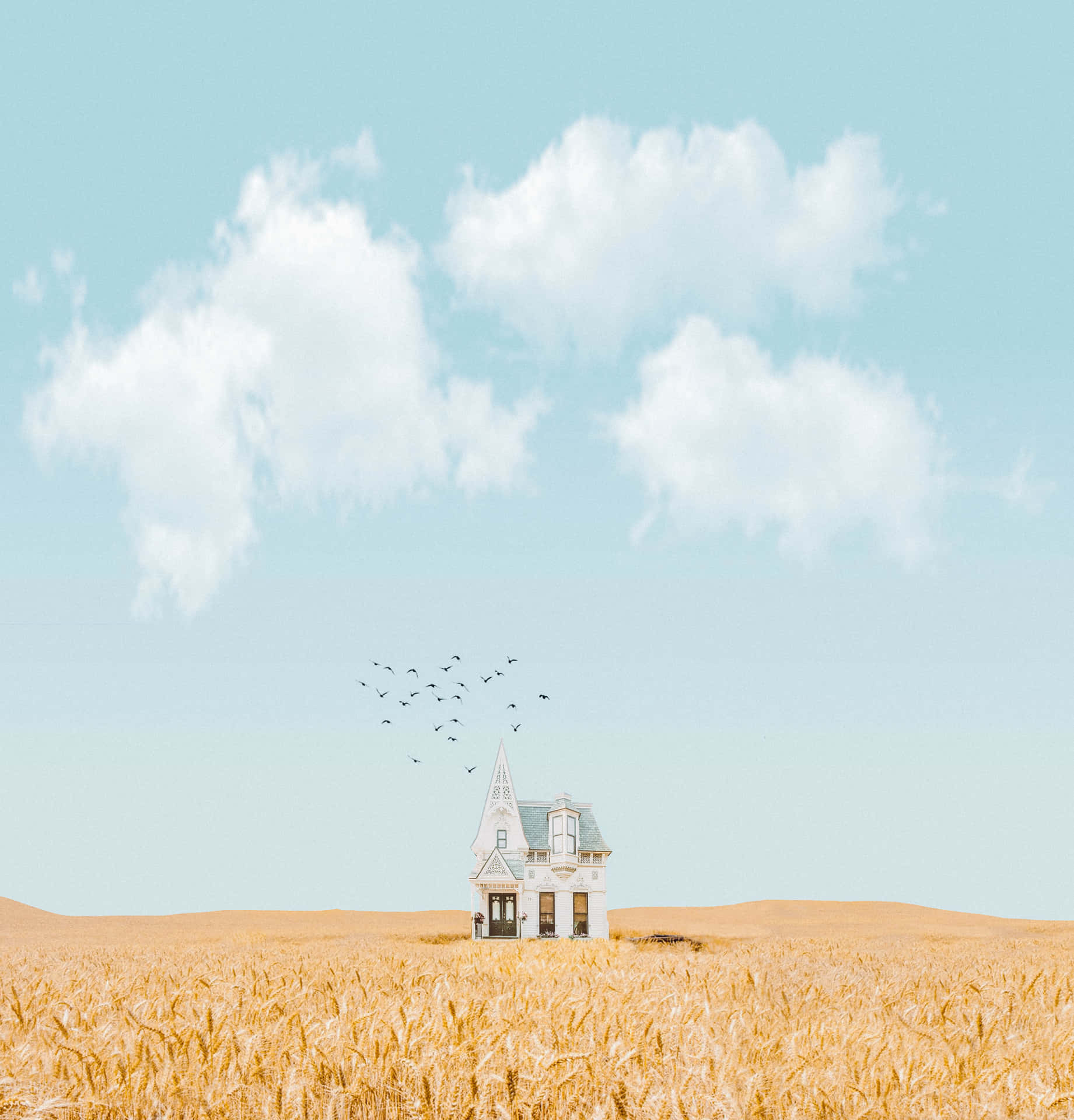 Minimum Count Of Houses Background