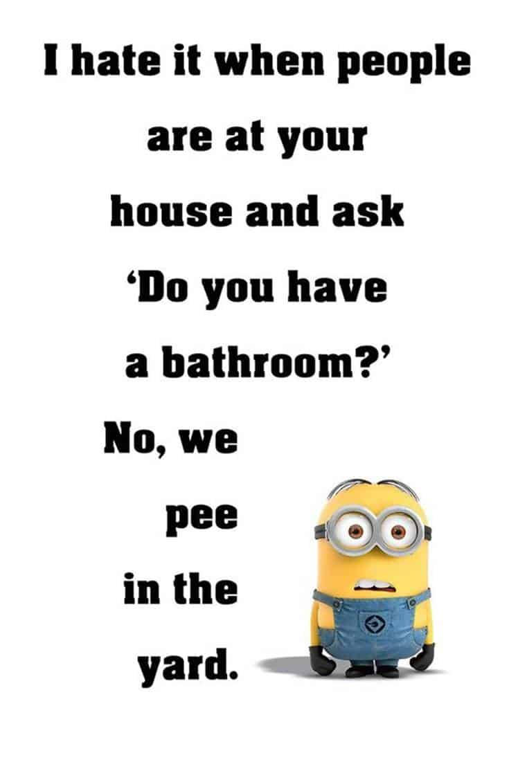 Minion Meme Do You Have A Bathroom Background