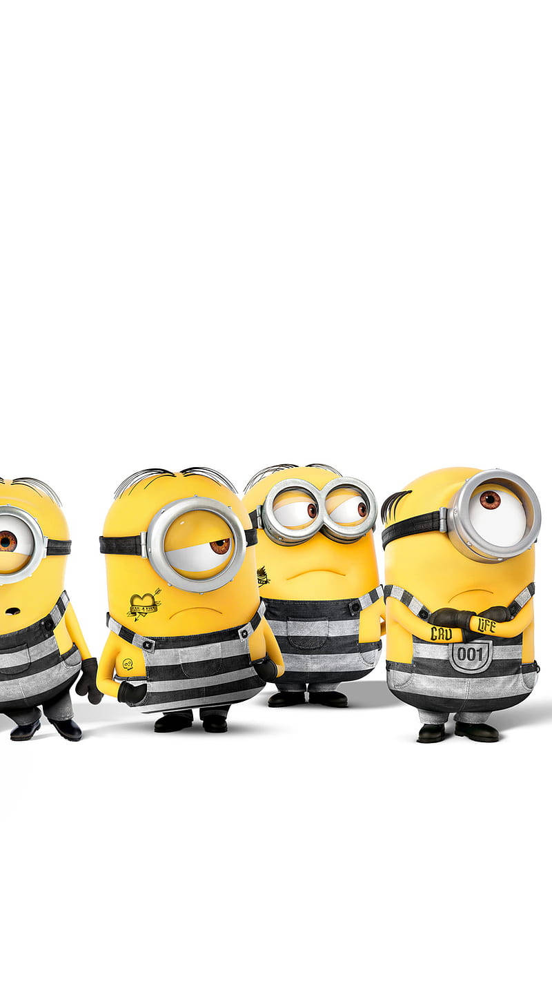 Minions In Inmates Uniform Despicable Me 3