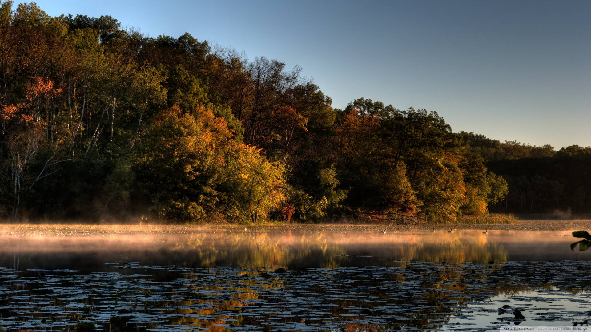 Minnesota Foggy Lake Background