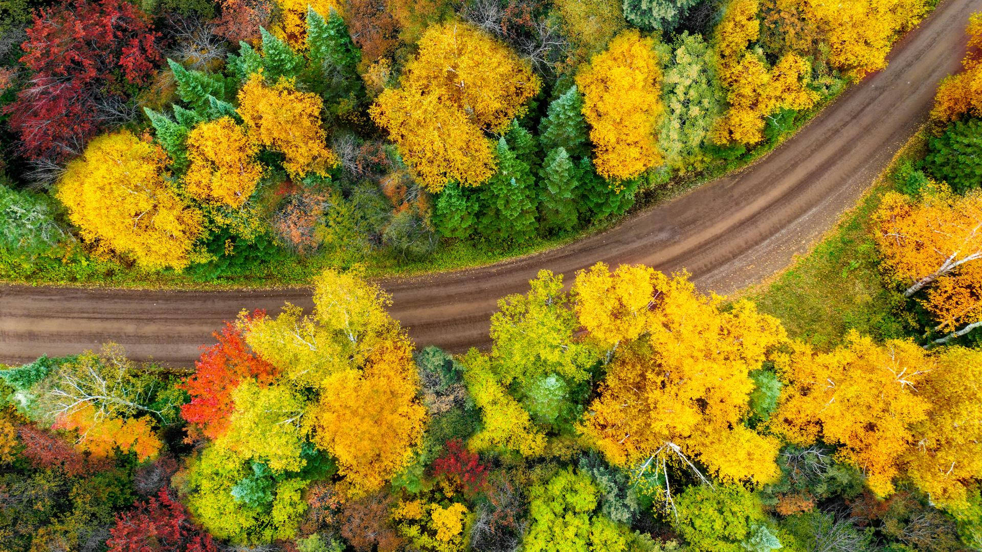 Minnesota In Autumn Season Background