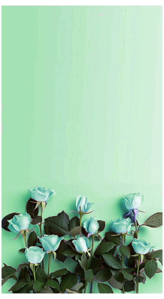 Mint Green Aesthetic Roses Background