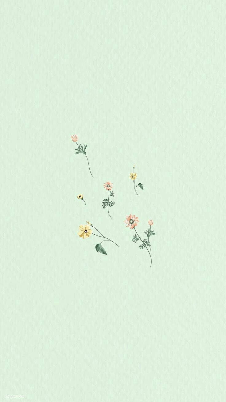 Mint Green Aesthetic Small Flowers Background