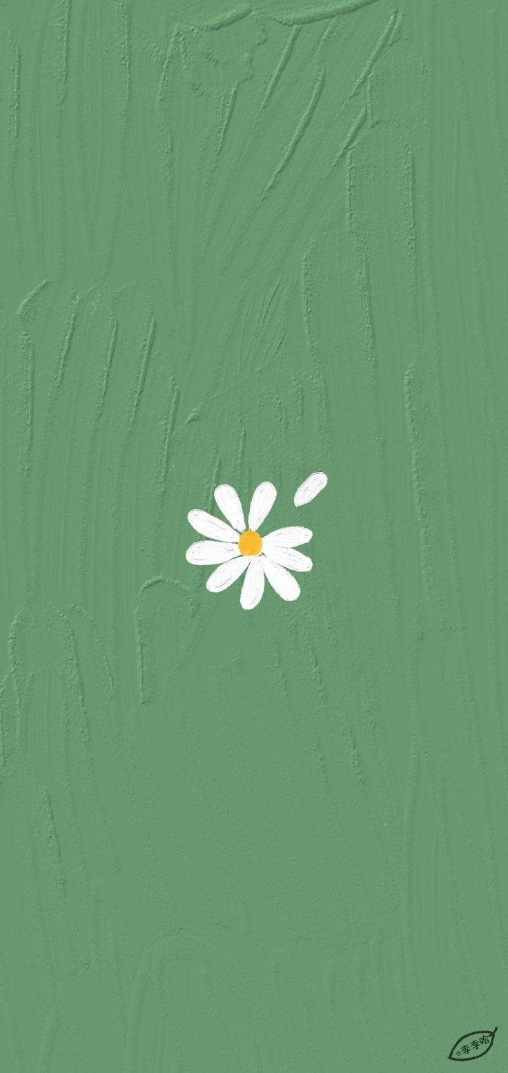 Mint Green Aesthetic White Flower Background