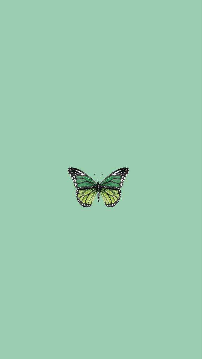 Mint Green Butterfly Background