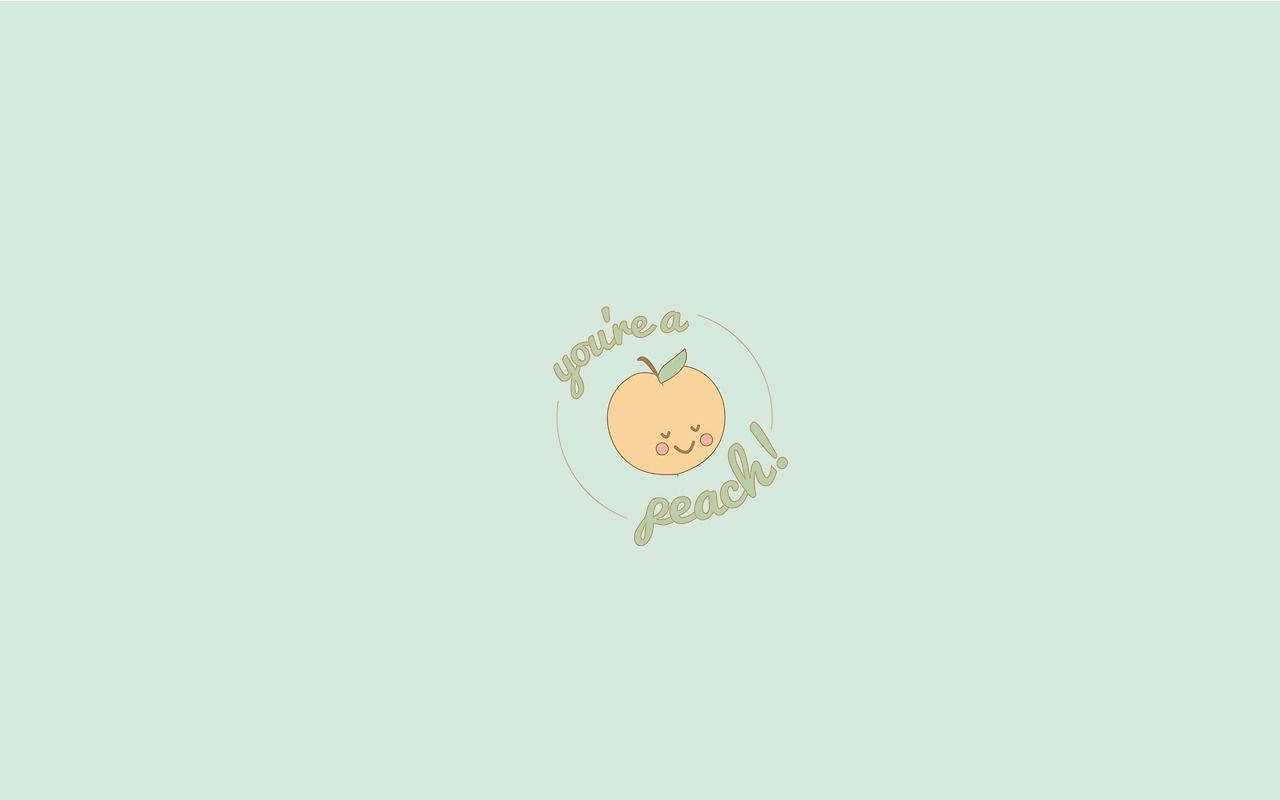 Mint Green Peach Aesthetic Laptop Background