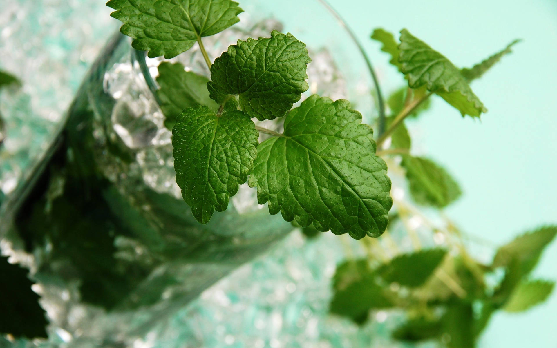 Mint Leaves Juice Drink Background