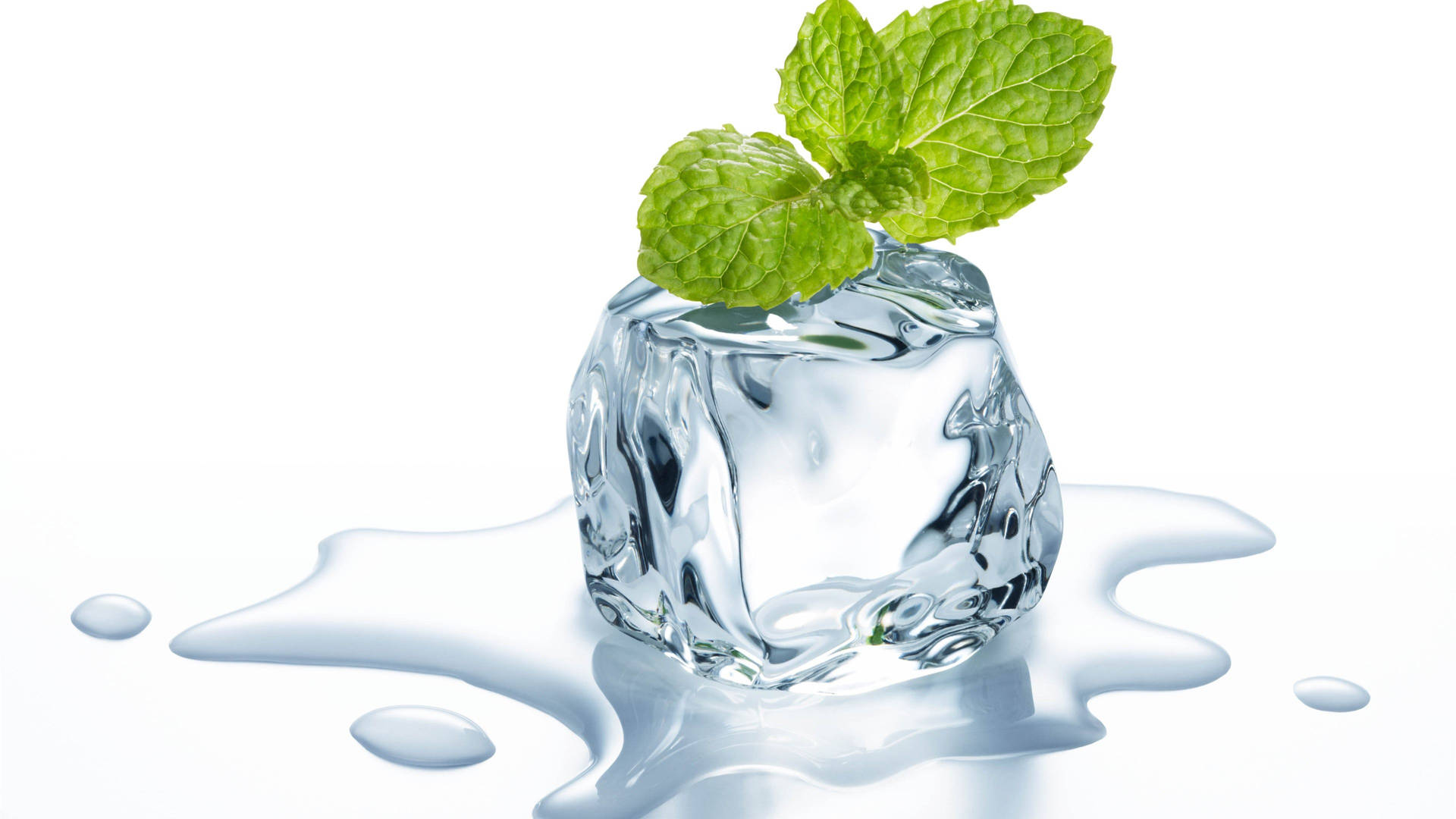 Mint On Ice Cube Background