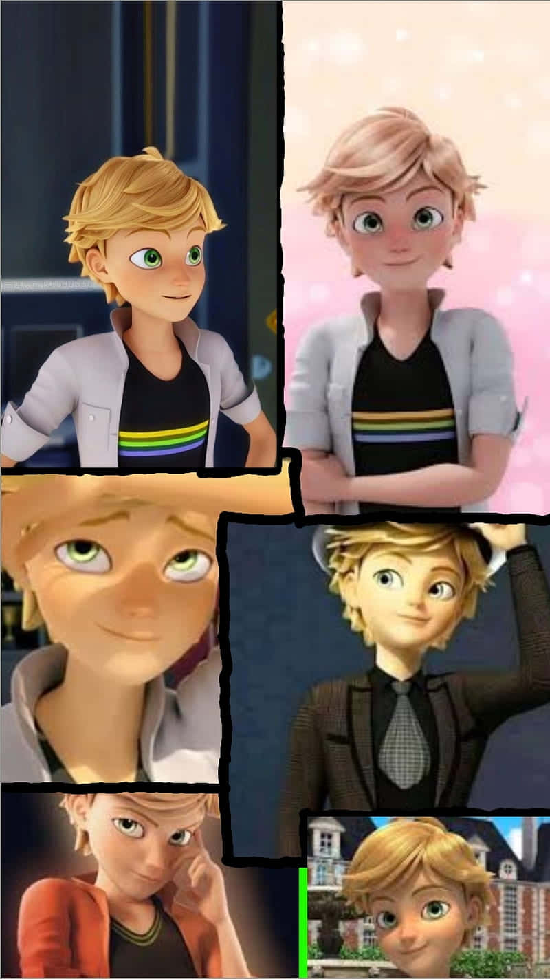 Miraculous Ladybug Adrien Collage Background