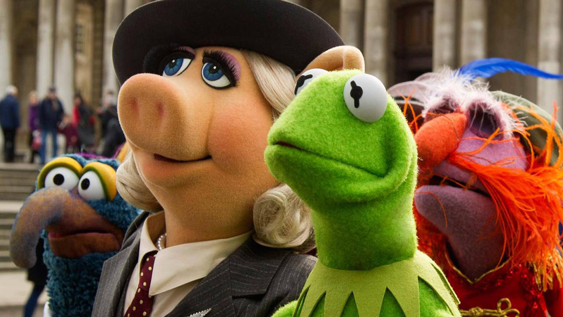 Miss Piggy Kermit Animal And Gonzo Background