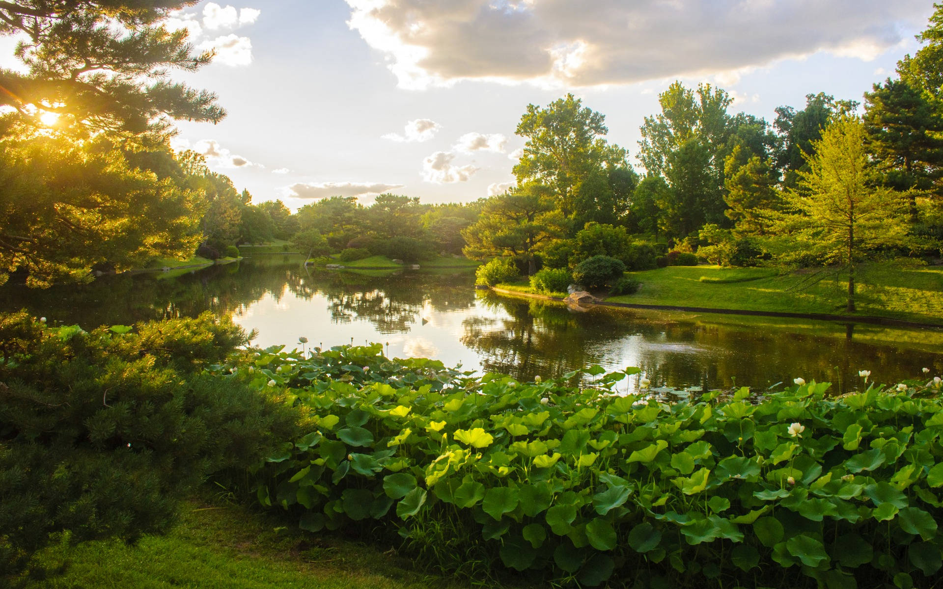 Missouri's Nature Background