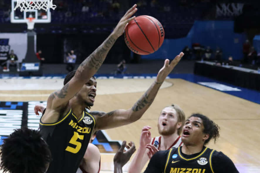 Missouri Tigers From University Of Missouri Grabs The Ball