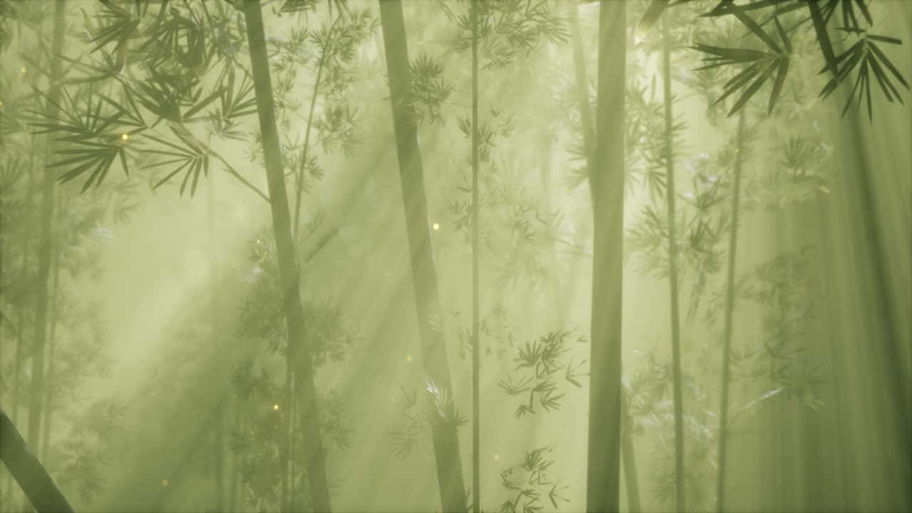 Misty_ Bamboo_ Forest_ Glow Background