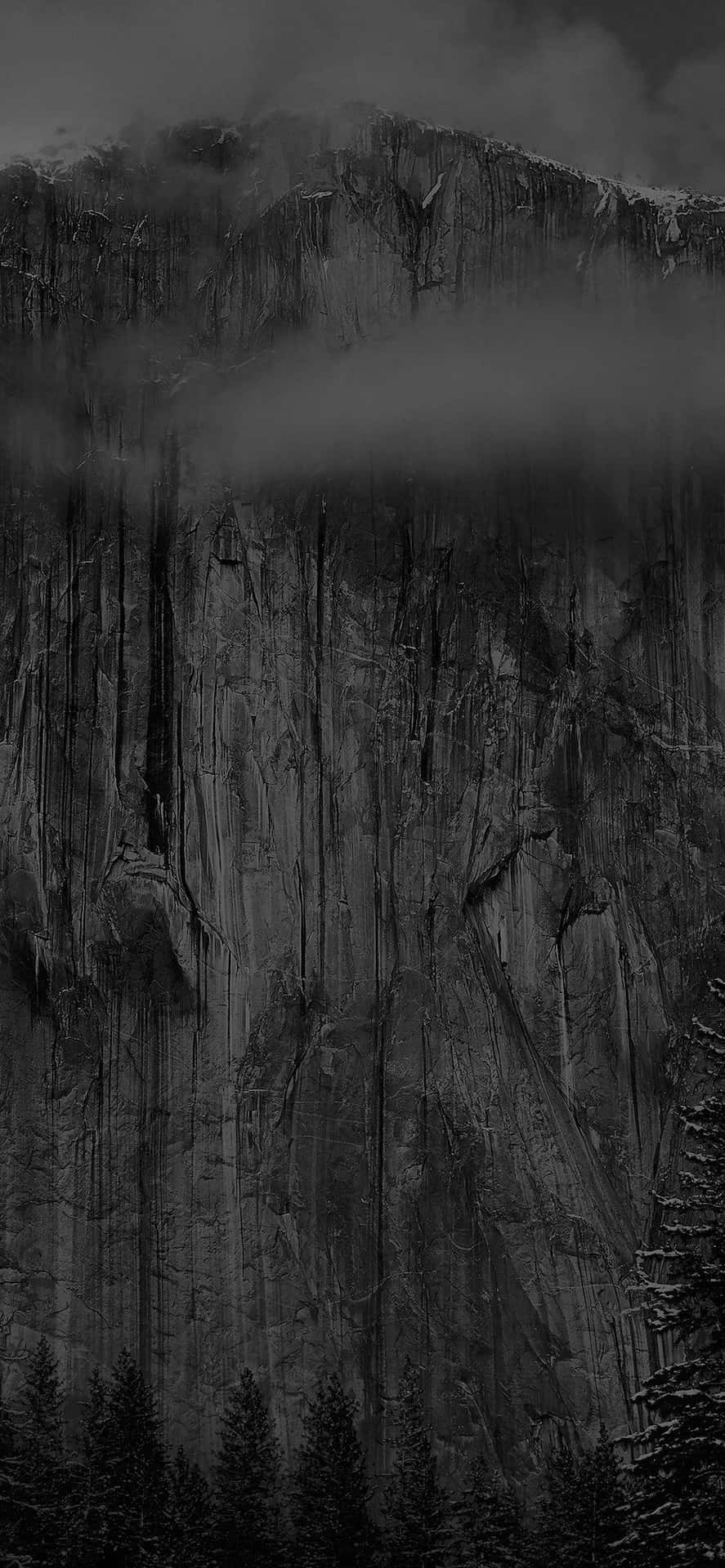 Misty_ Cliffside_ Forest_ Black_and_ White Background