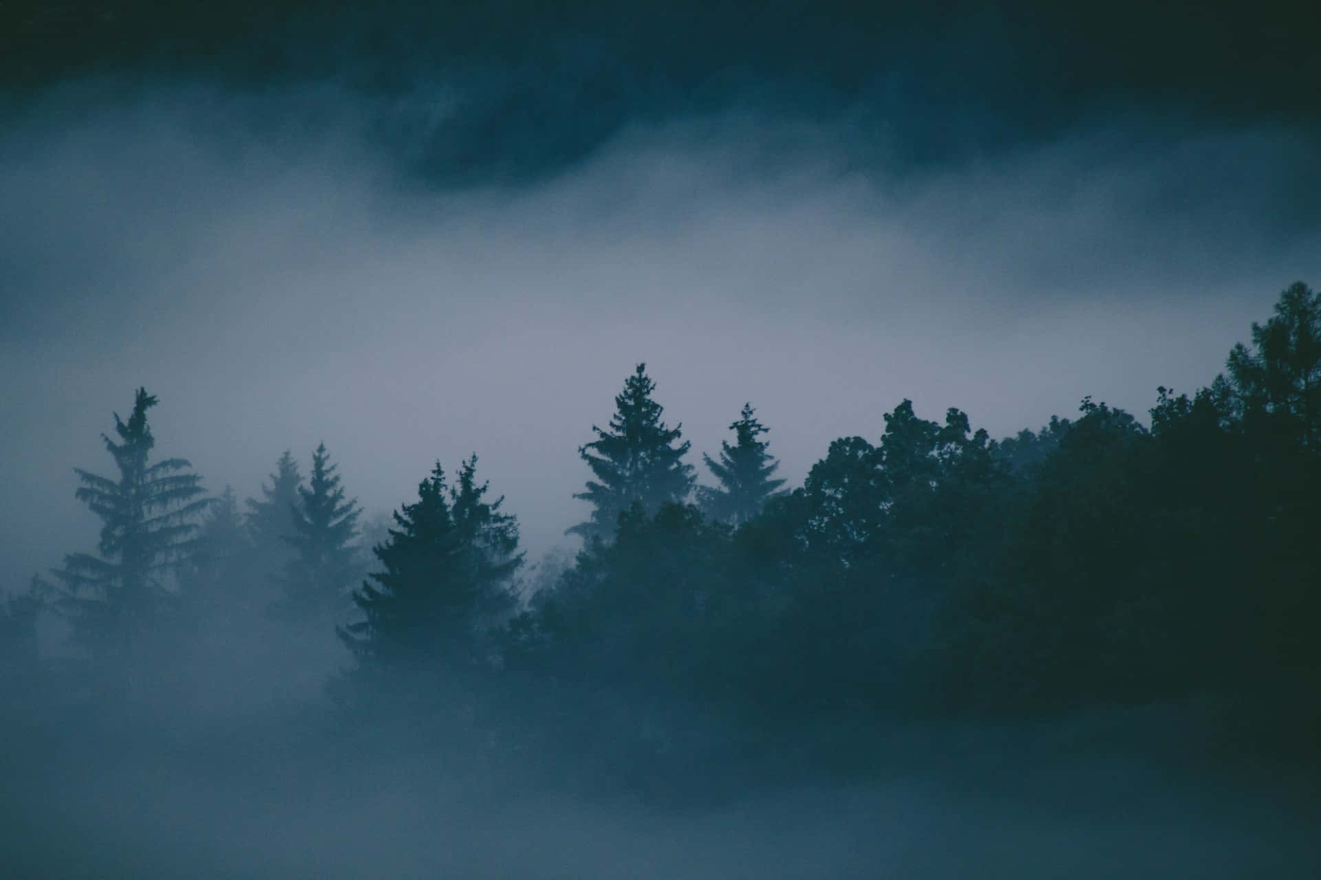 Misty_ Forest_ Silhouettes Background