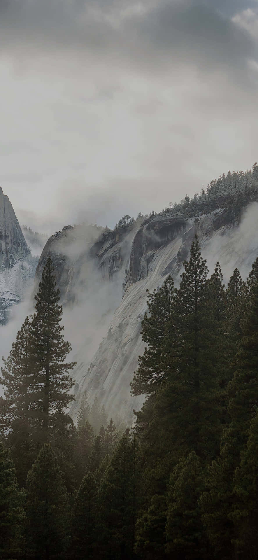 Misty_ Mountain_ Forest_4 K