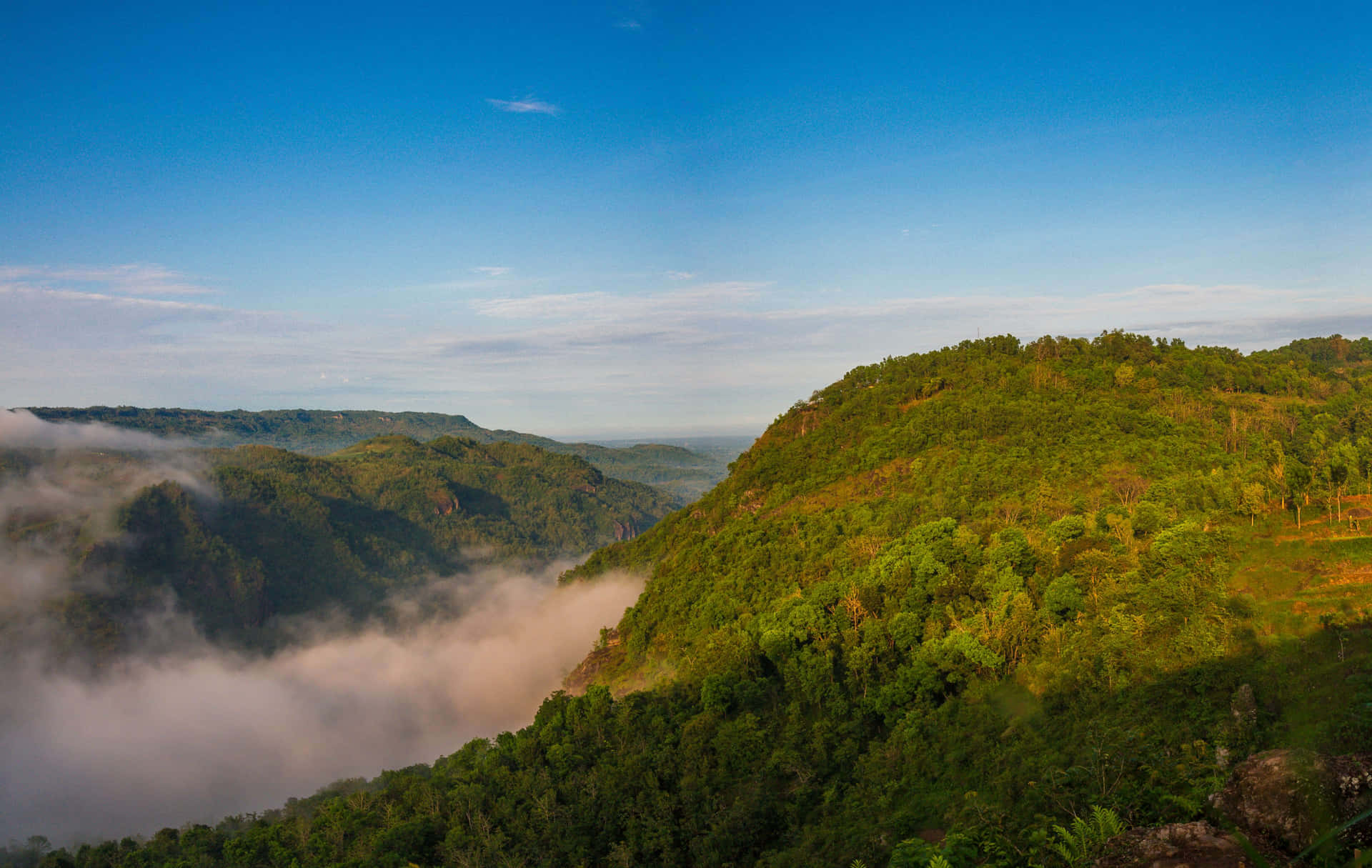 Misty Mountain Morning_4k U W.jpg Background