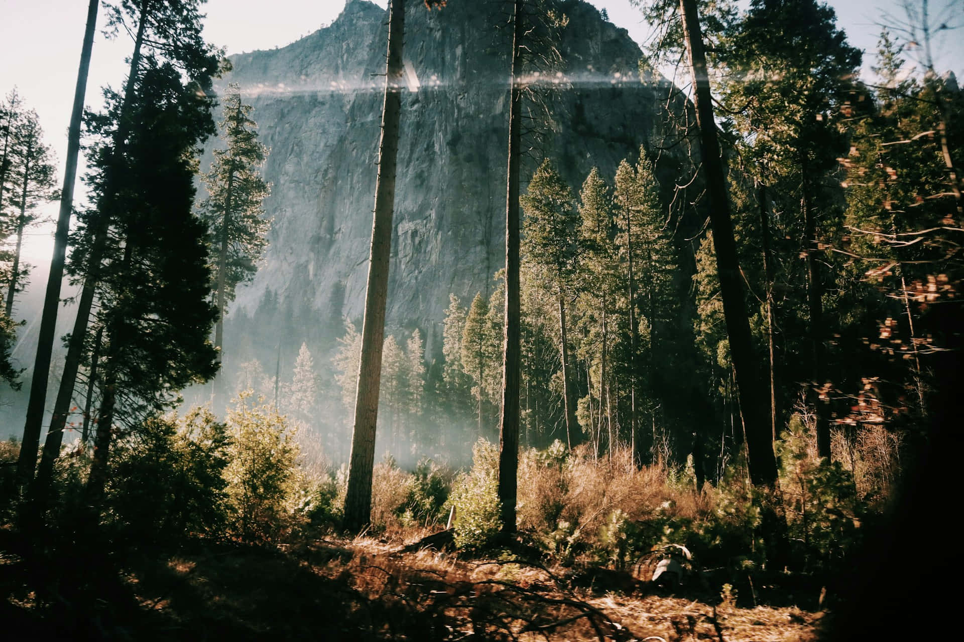 Misty Mountain Sunrise.jpg Background