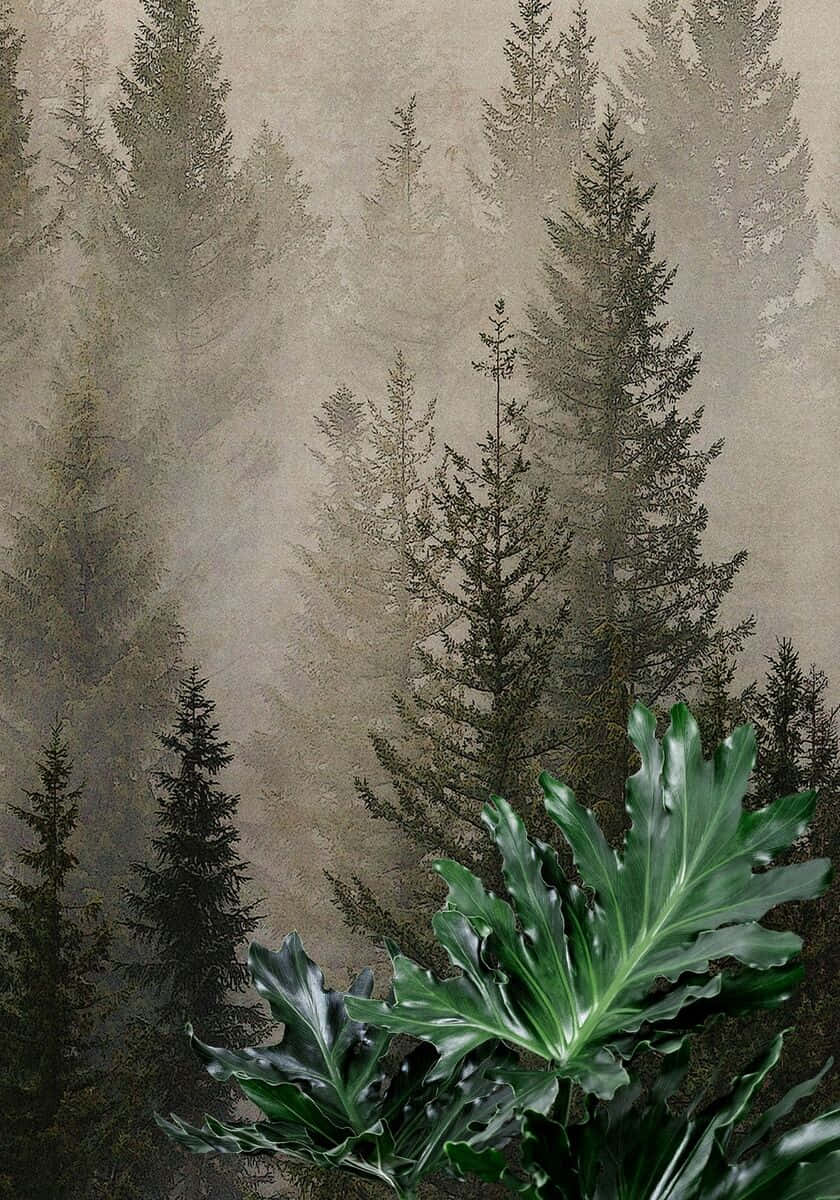Misty_ Pine_ Forest_ Artwork