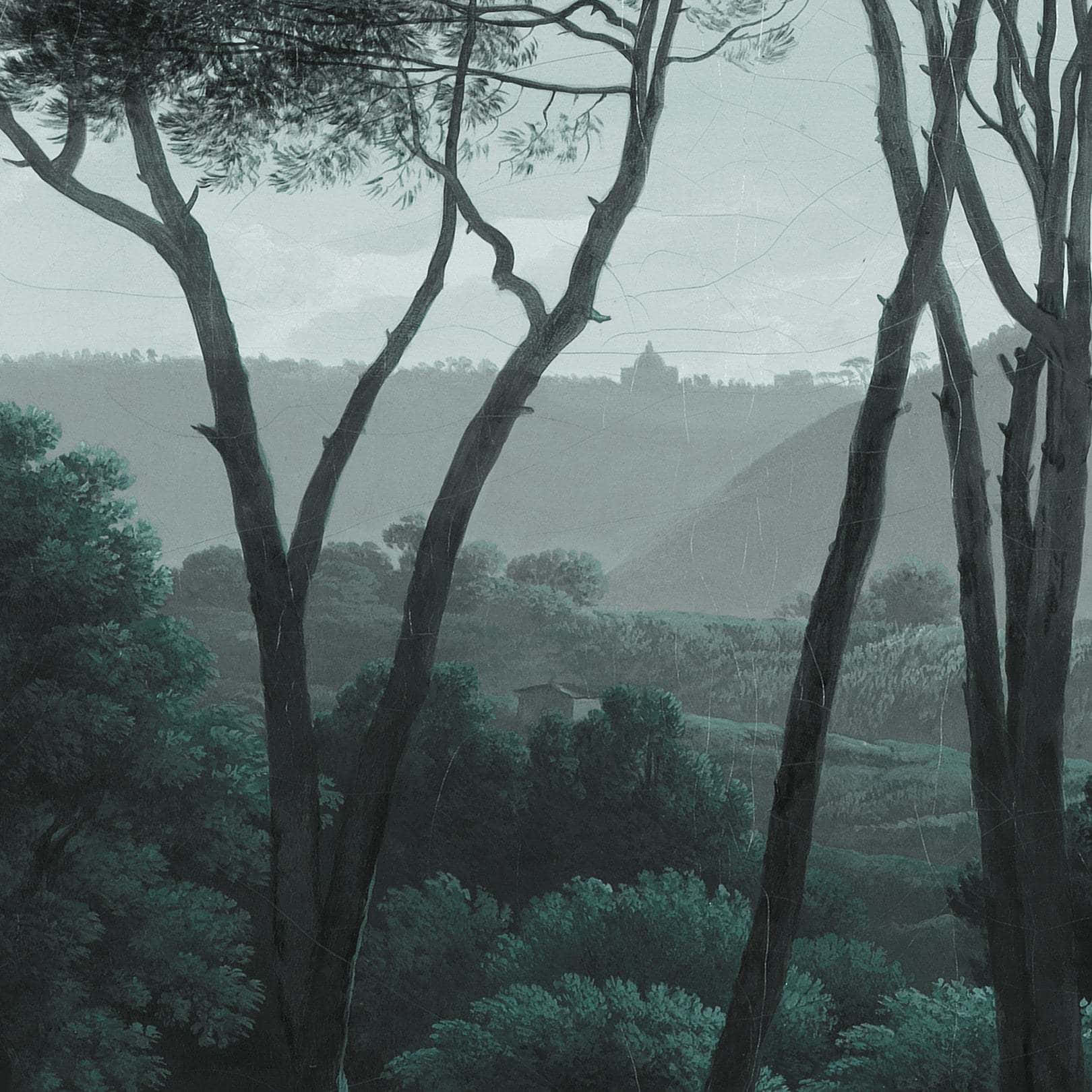 Misty Pine Forest View Background