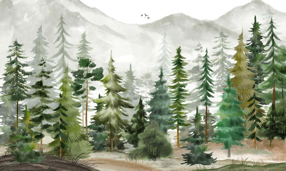 Misty Pine Forest Watercolor Background