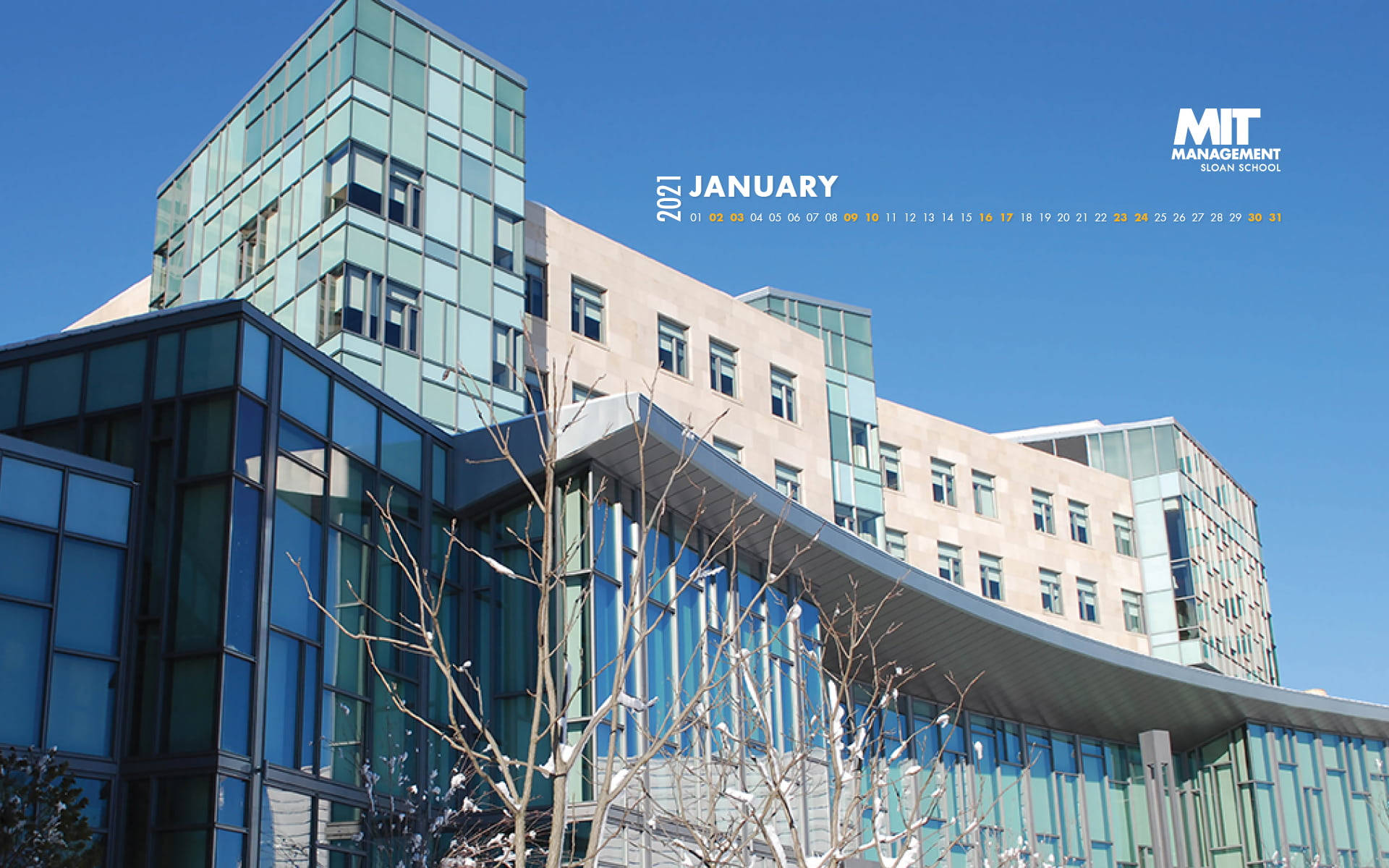 Mit January 2021 Calendar Background