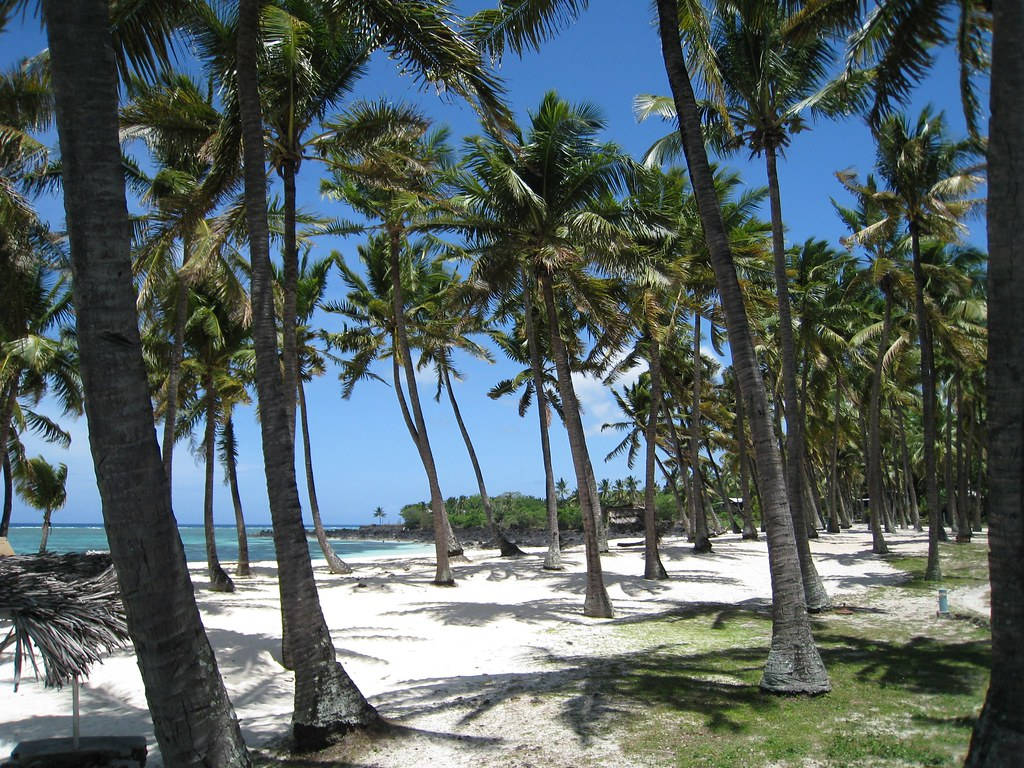 Mitsamiouli Beach Comoros With Trees