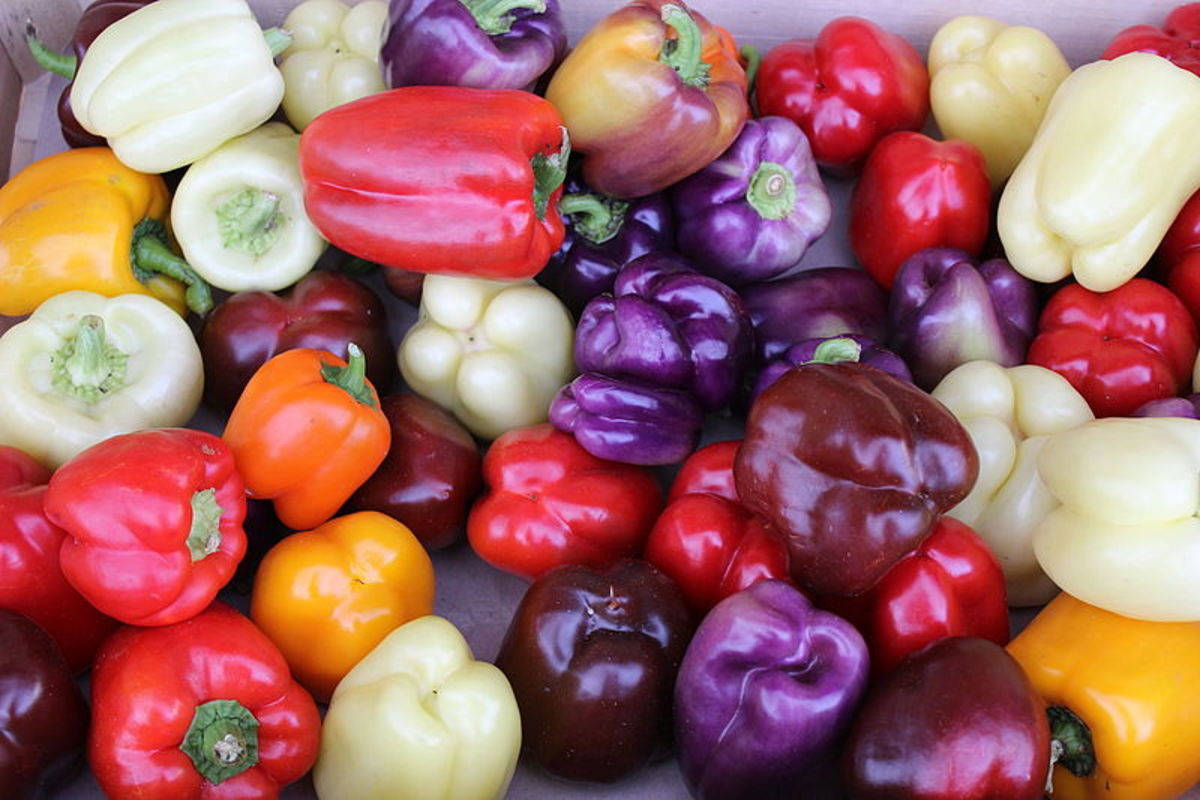 Mixed Color Bell Pepper Fruits