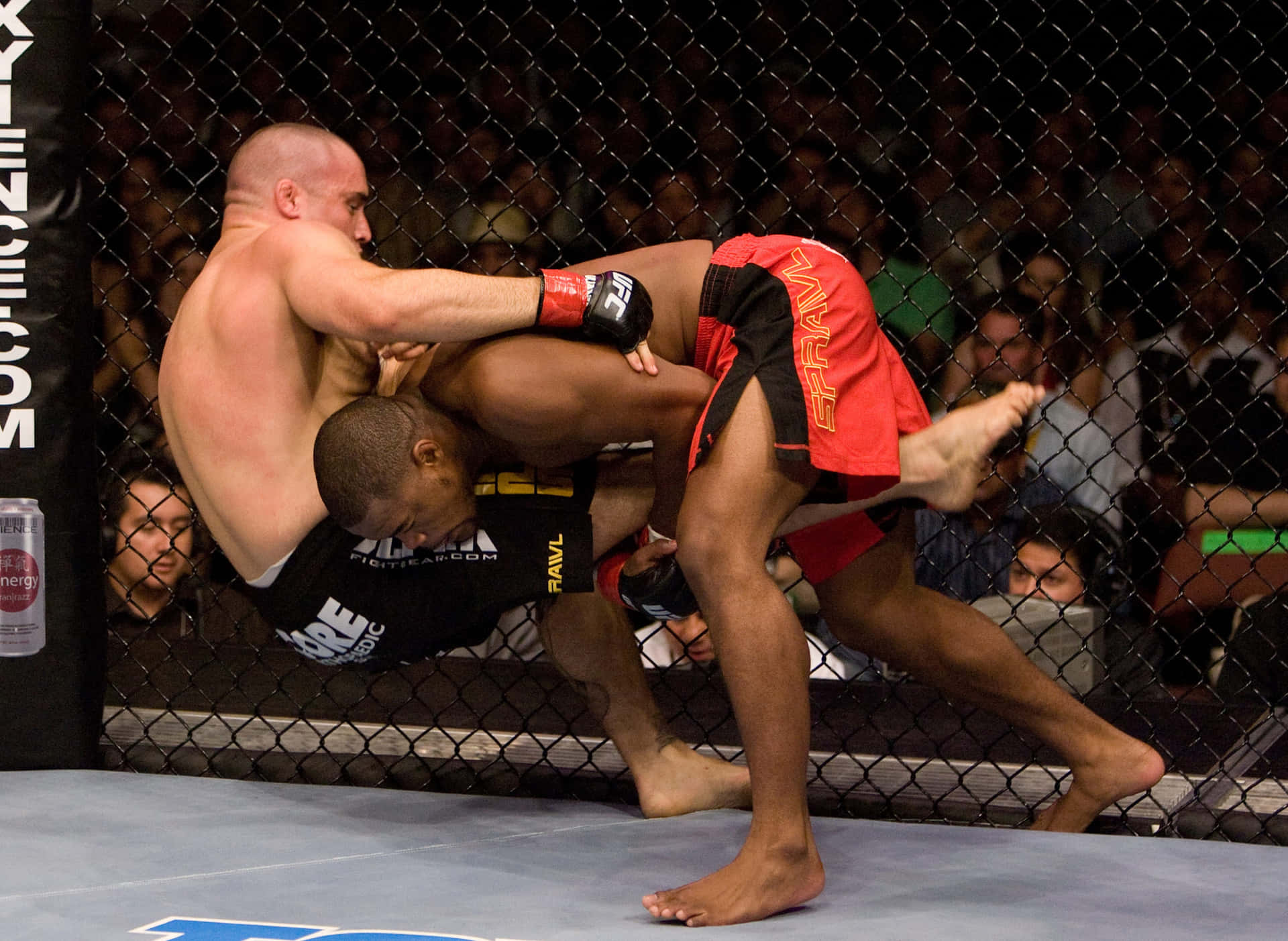 Mixed Martial Artis Gary Goodridge Background