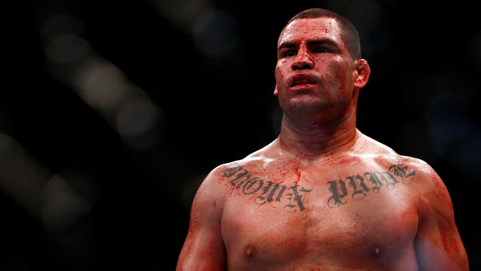 Mixed Martial Artist Cain Velasquez Ufc 146 Background