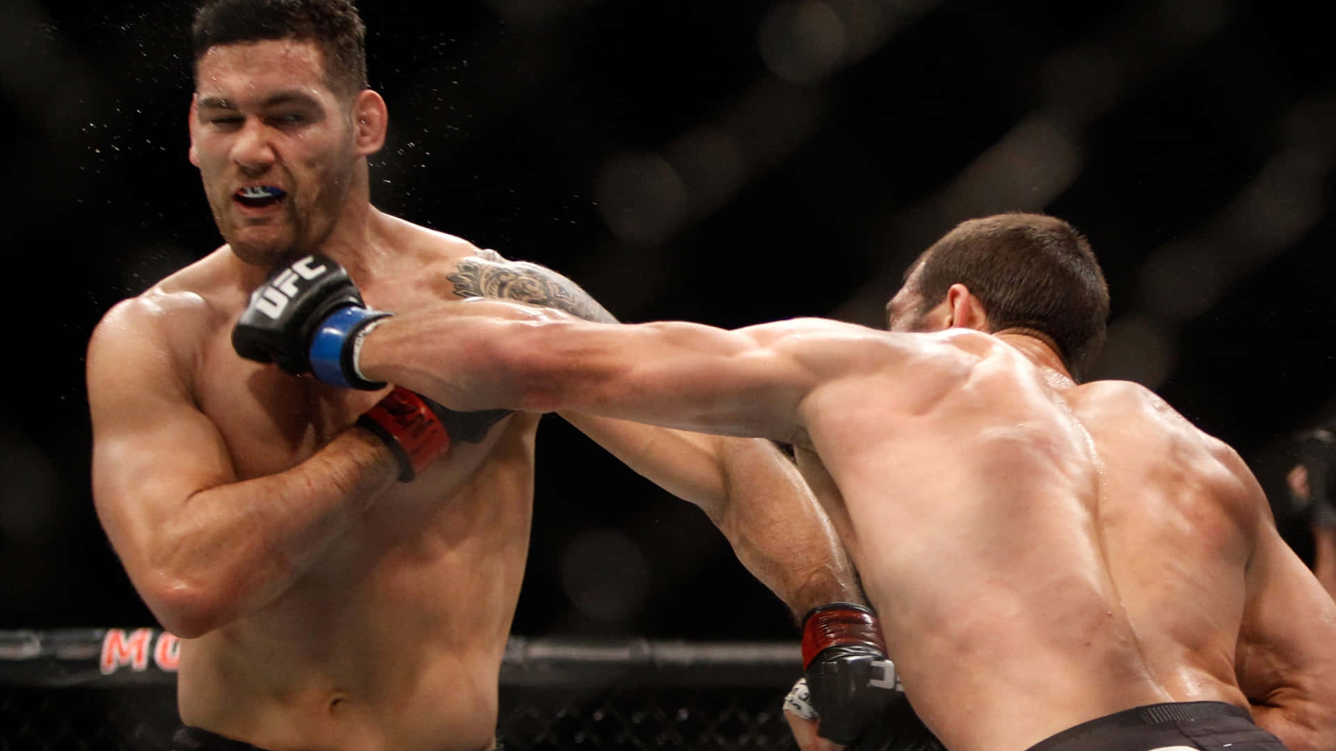 Mixed Martial Artist Chris Weidman Background