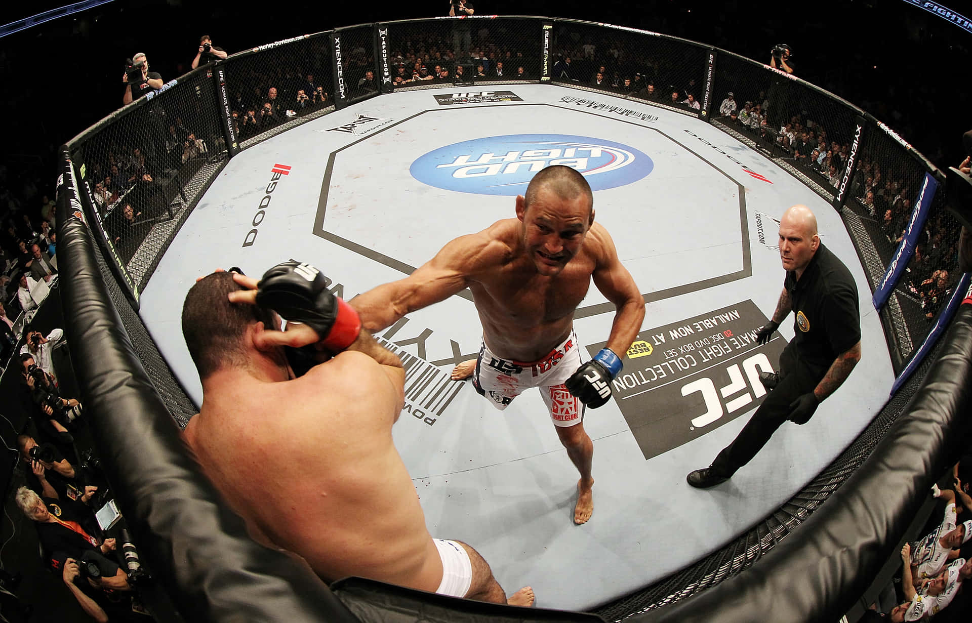 Mixed Martial Artist Dan Henderson Fighting Background